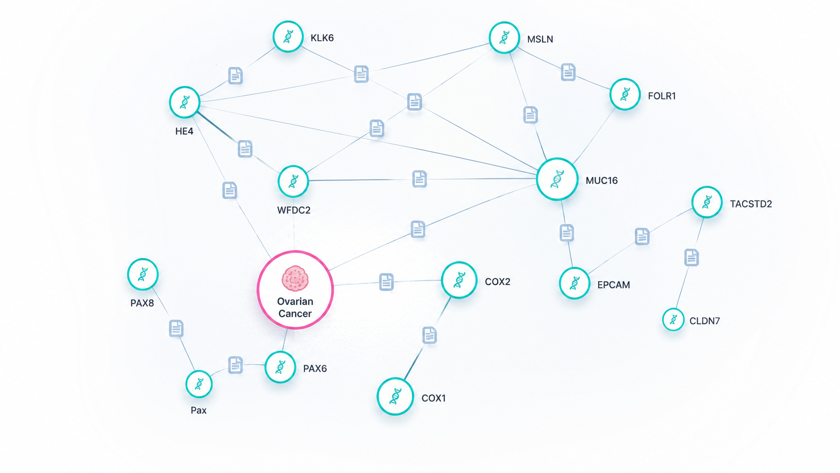 Biomedical knowledge graph centered on ovarian cancer with connected genes and literature nodes